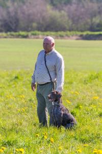 Hundematch (14 of 71)