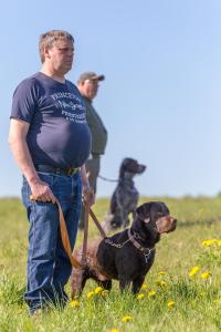 Hundematch (16 of 71)