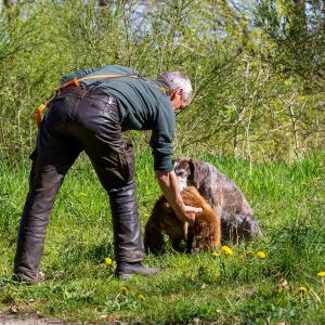 Hundematch (25 of 71)