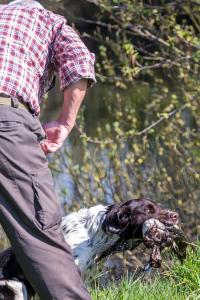 Hundematch (46 of 71)