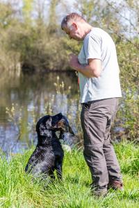 Hundematch (47 of 71)