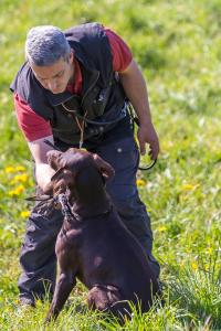 Hundematch (56 of 71)