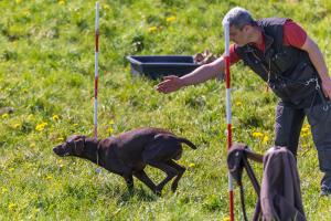Hundematch (57 of 71)